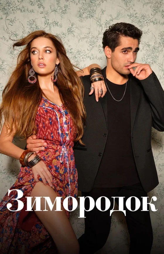 Зимородок турецкий сериал